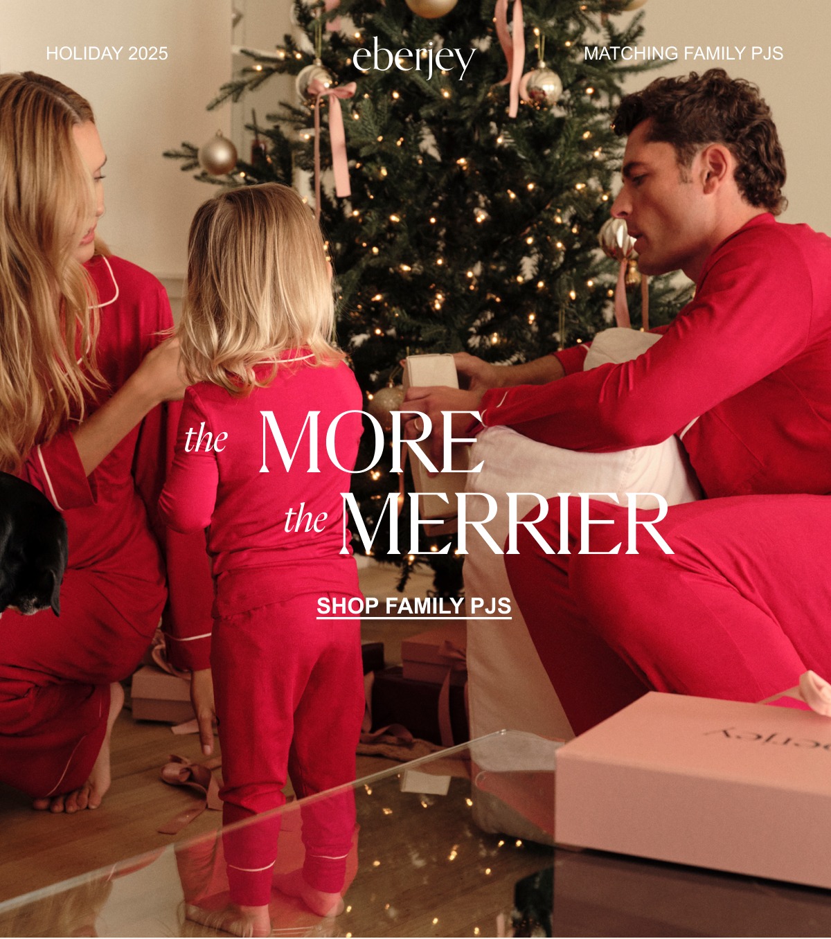 The More The Merrier 