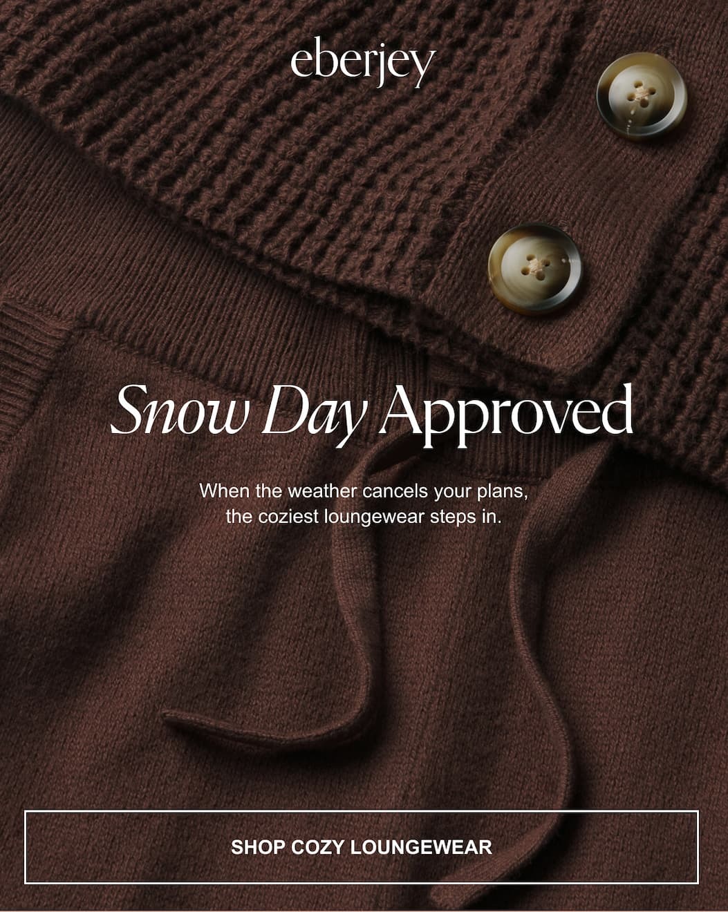 Snow Day Approved