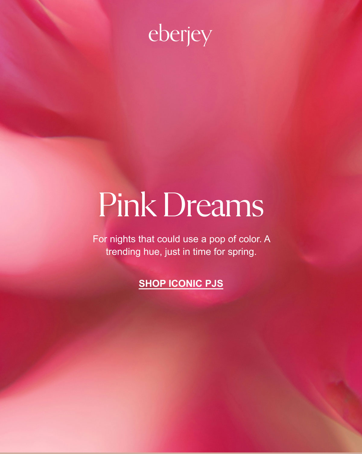 Pink Dreams 