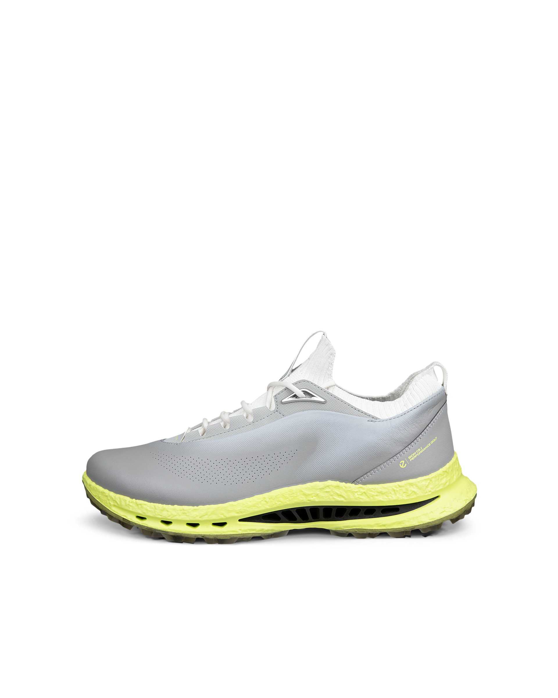 ECCO Golf Biom C5