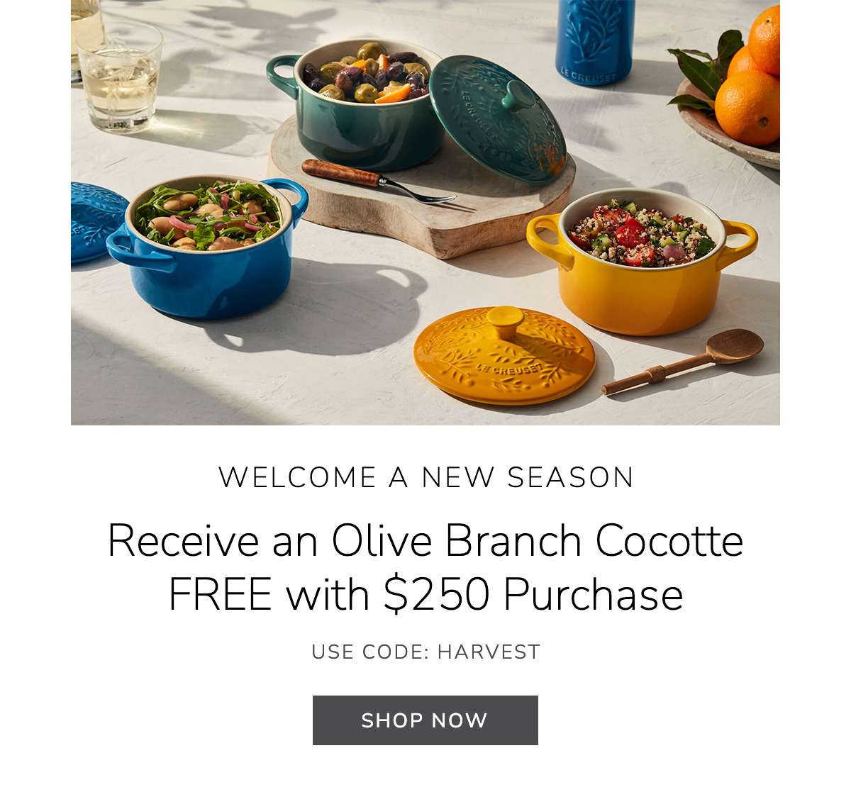 WELCOME A NEW SEASON: Olive Branch Cocotte, Free with $250 Purchase - USE CODE: HARVEST - SHOP NOW