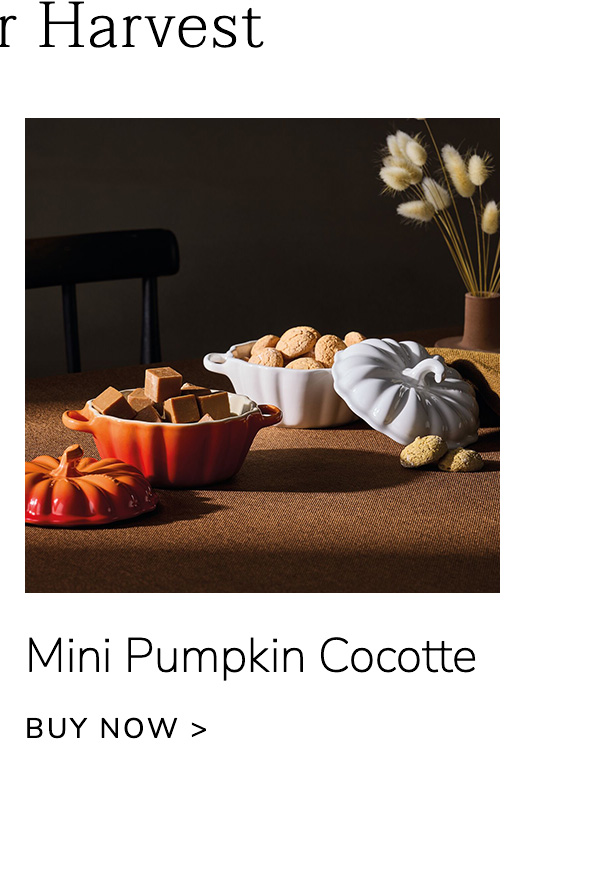 Mini Pumpkin Cocotte - BUY NOW