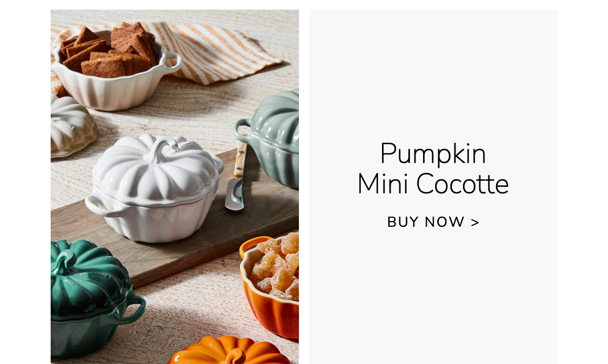 Pumpkin Mini Cocotte - BUY NOW