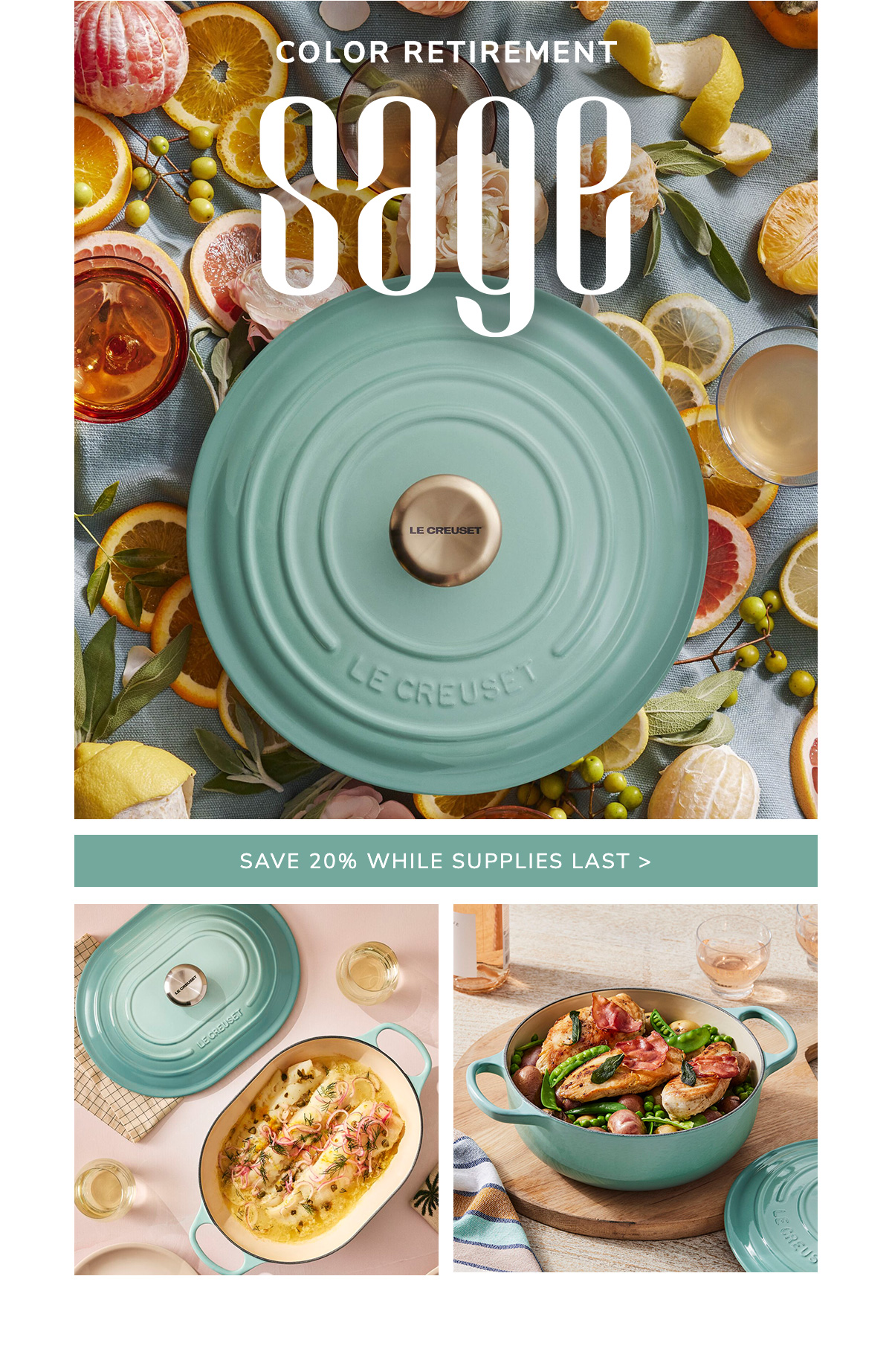 COLOR RETIREMENT: SAGE - SAVE 20% WHILE SUPPLIES LAST - SHOP NOW