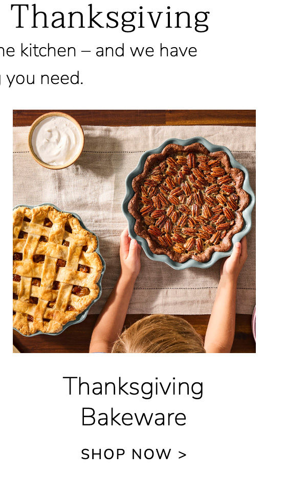 Thanksgiving Bakeware - SHOP NOW
