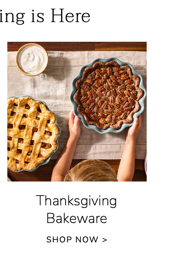 Thanksgiving Bakeware - SHOP NOW