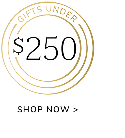 Gifts Under $250