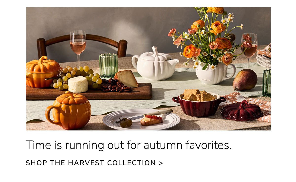 Time is running out for autumn favorites. SHOP THE HARVEST COLLECTION