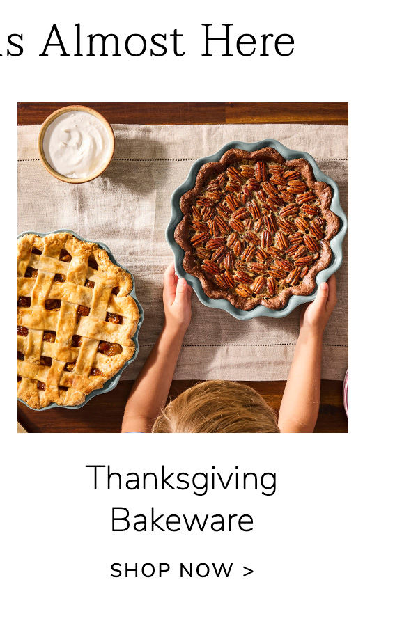 Thanksgiving Bakeware - SHOP NOW