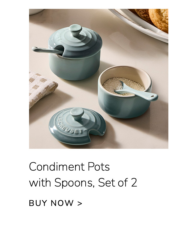 Condiment Pots with Spoons, Set of 2 - BUY NOW