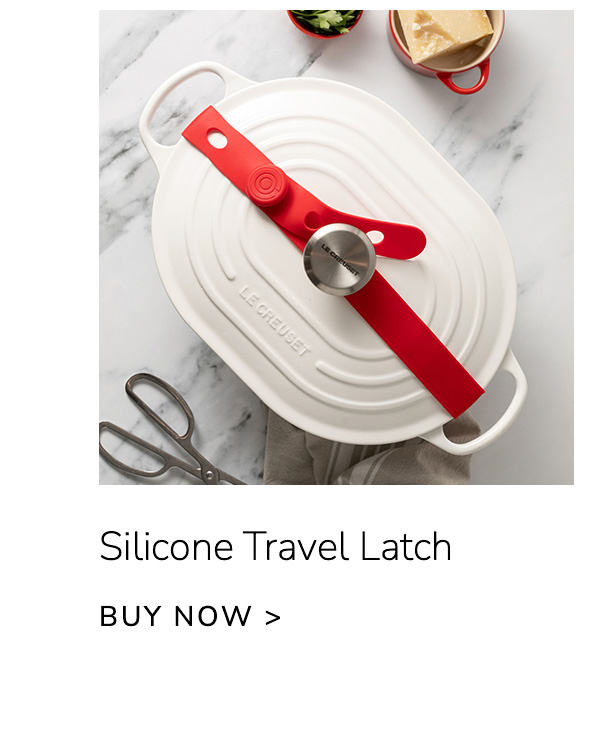 Silicone Travel Latch - BUY NOW