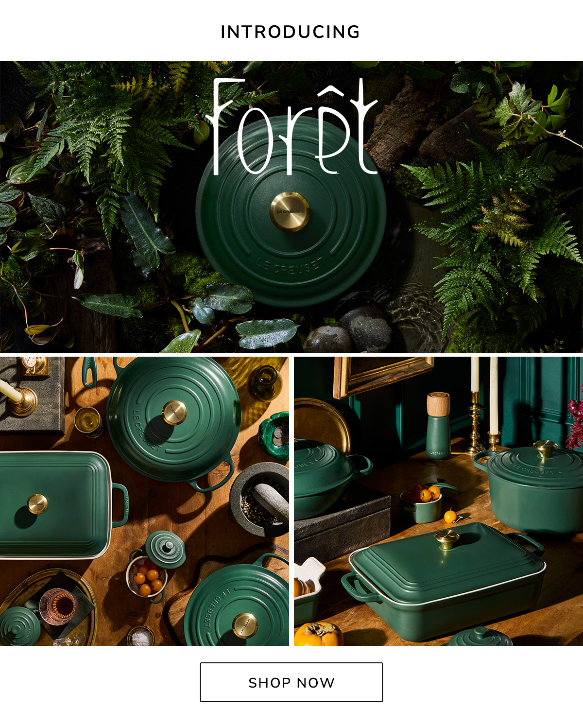 INTRODUCING FORÊT - SHOP NOW
