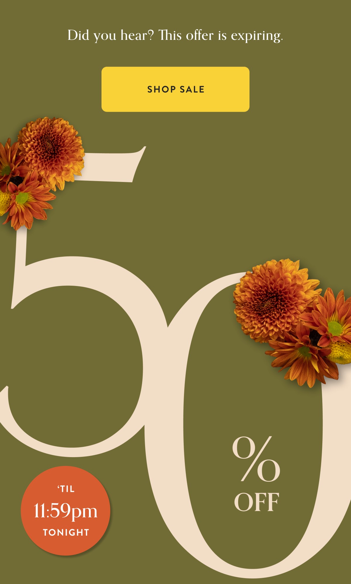Did you hear? This 50% off offer is expiring