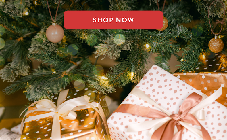 Black Friday Pricing 70% off