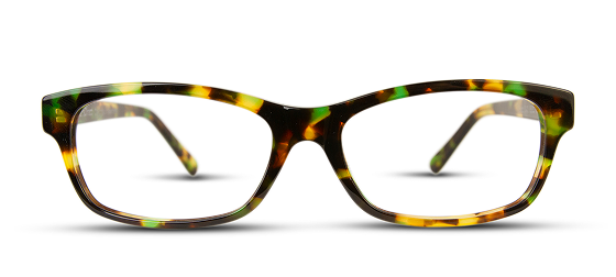coco in green tortoise coco in green tortoise