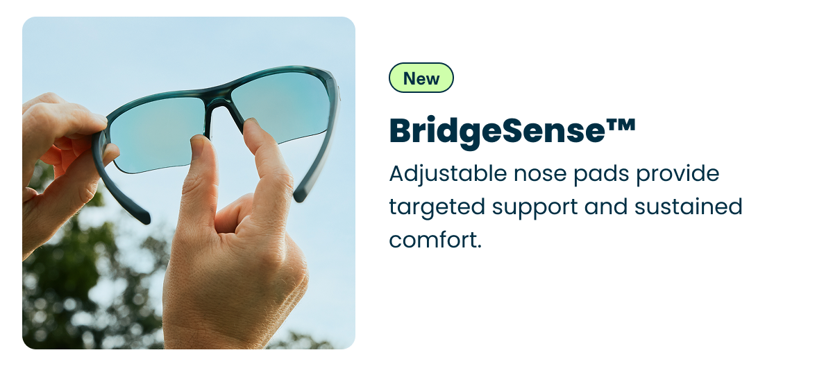 lens replacement category