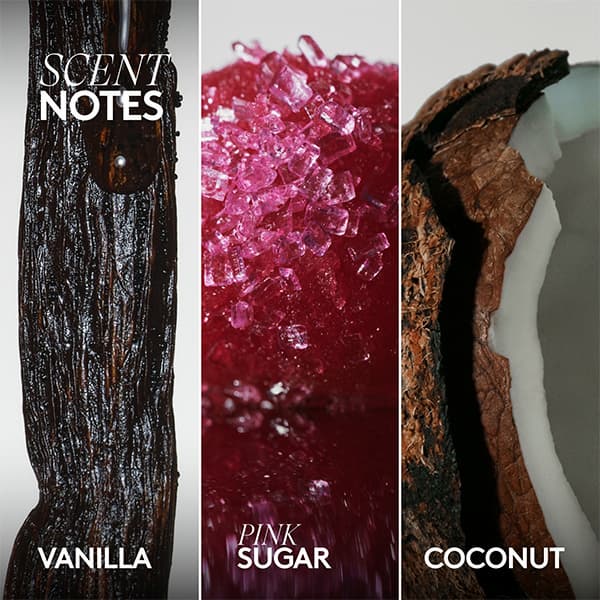 SCENT NOTES | VANILLA | PINK SUGAR | COCONUT