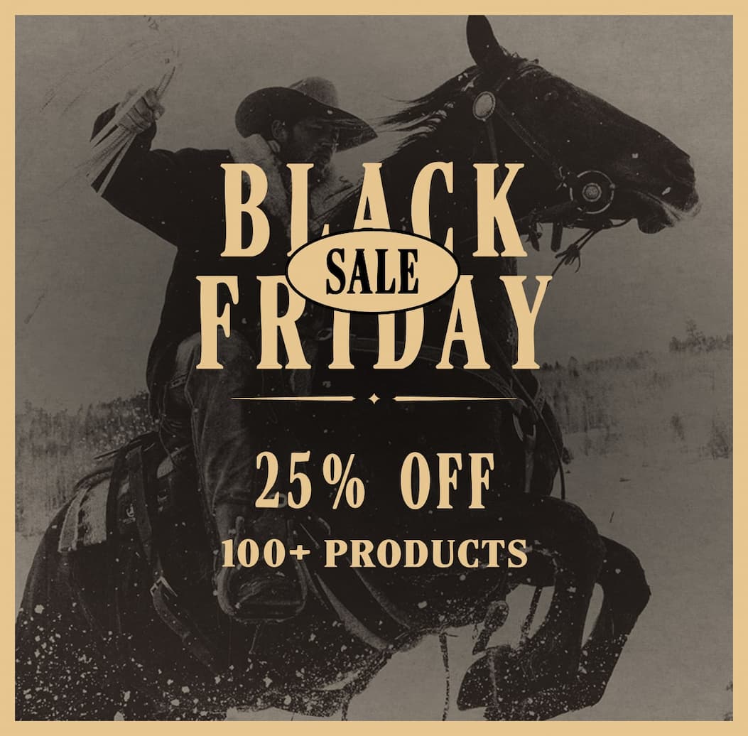 Black Friday Sale