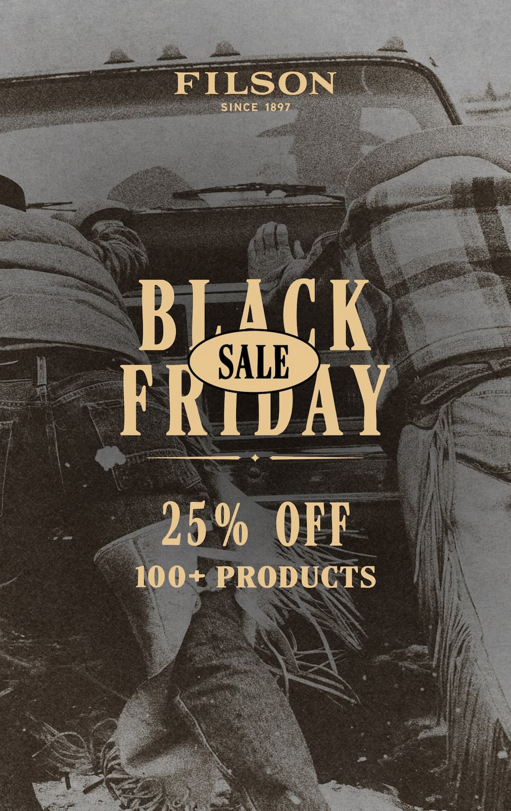Black Friday Sale
