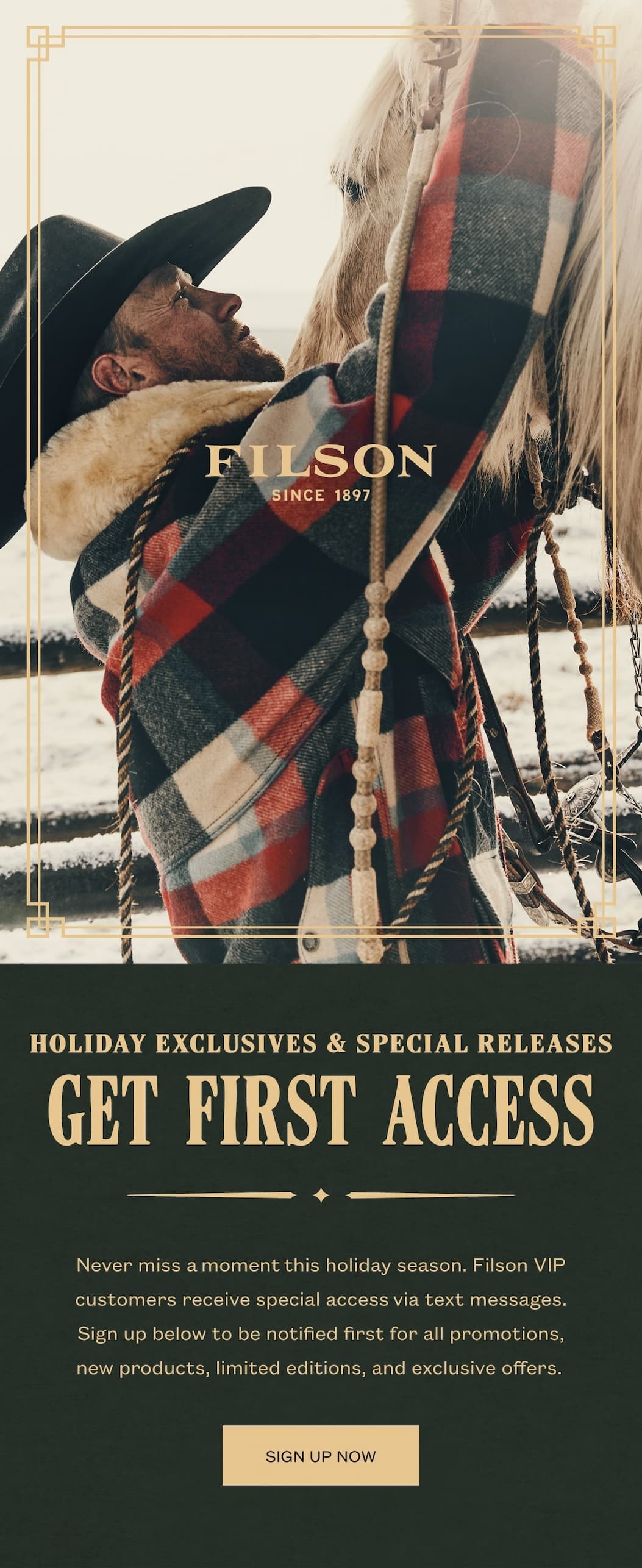 Get First Access 