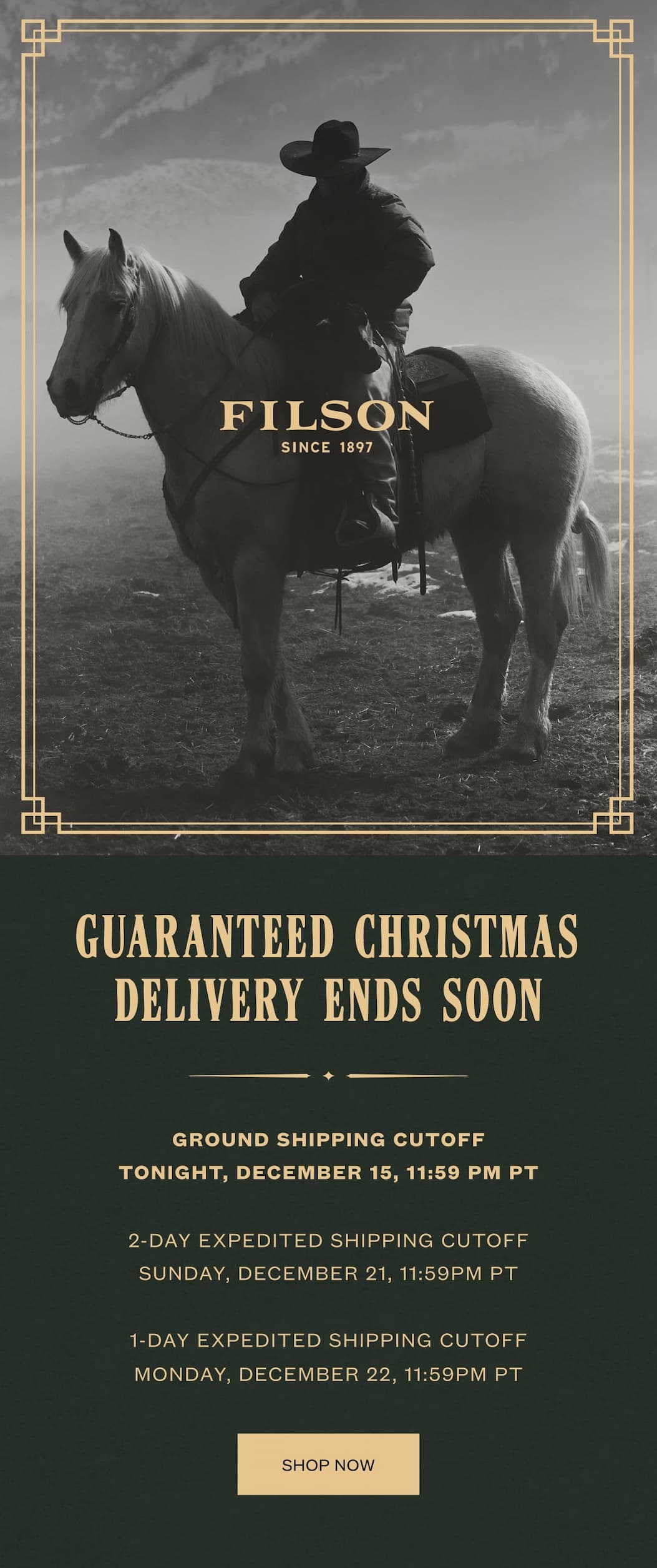 Guaranteed Christmas Delivery Ends Soon