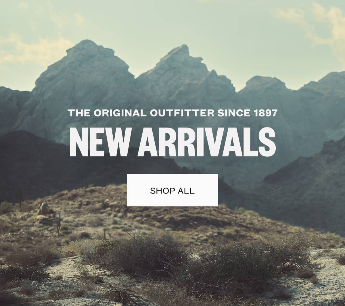 New Arrivals