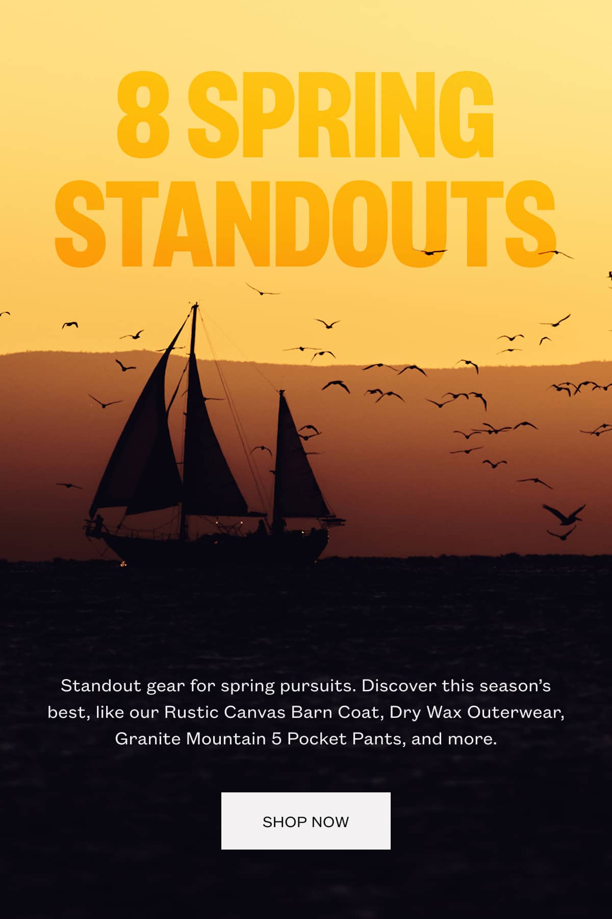 Seasonal Standouts