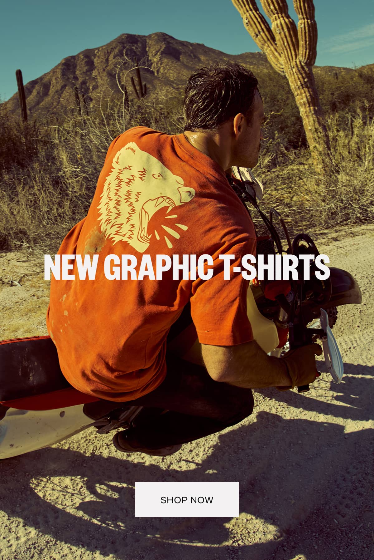 New Graphic T-Shirts