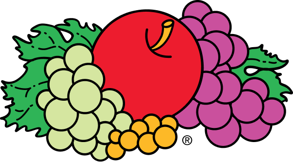 Fruit of The Loom