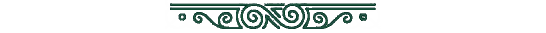an image of a green door with a bunch of green wires