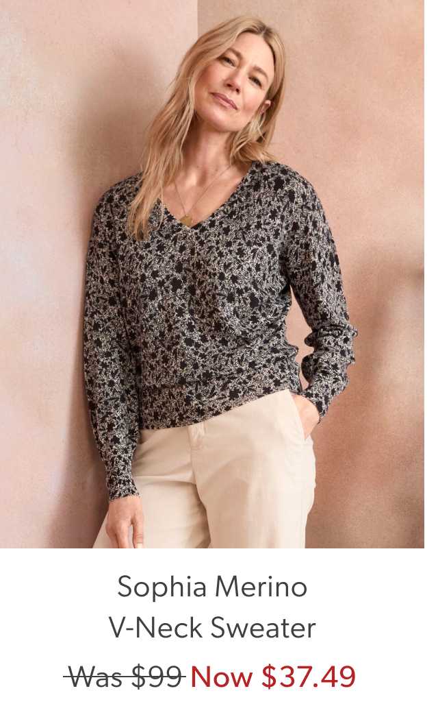 Sophia Merino V-Neck Sweater. Was $99, now $37.49.