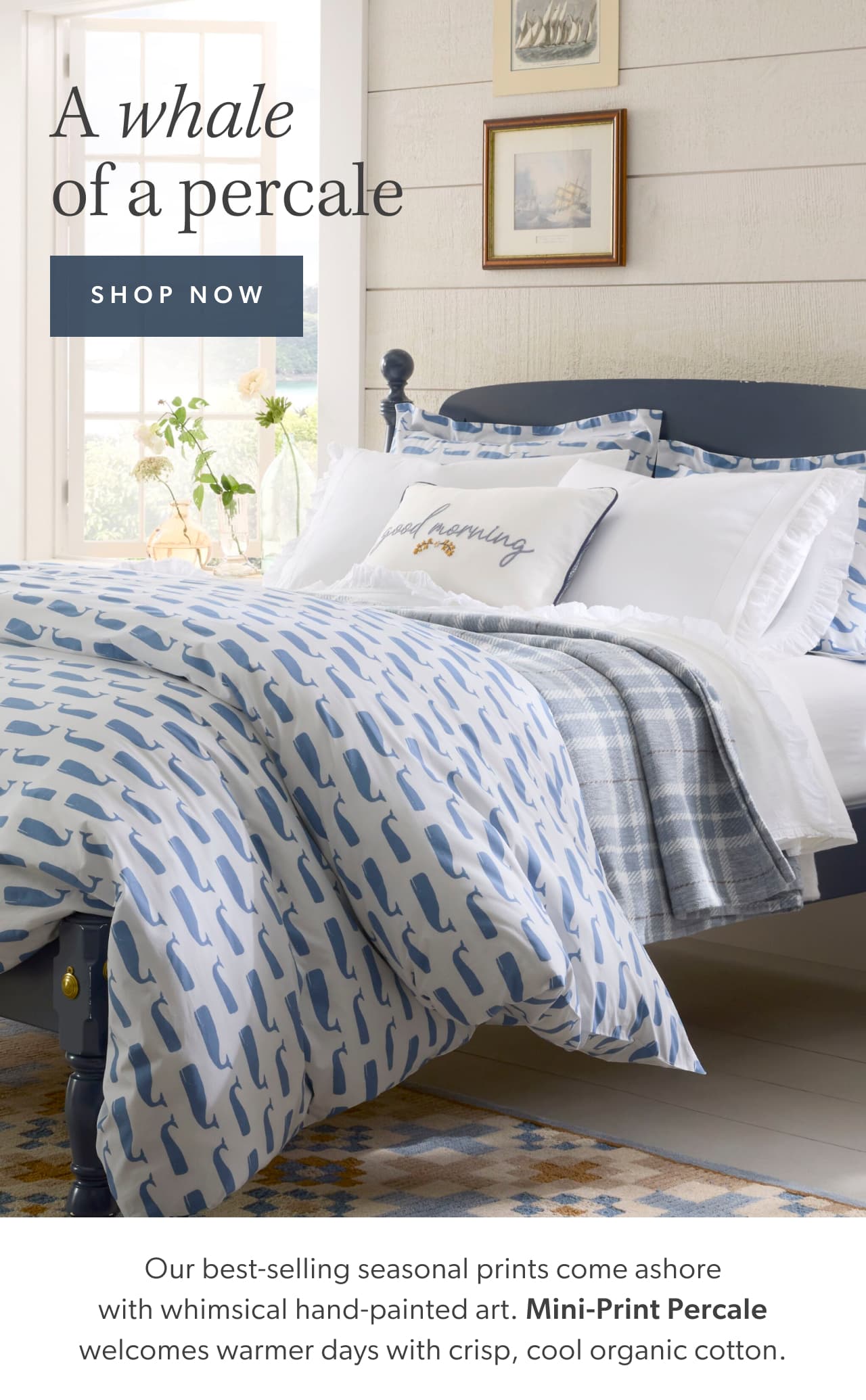 A whale of a percale. Shop now. Our best-selling seasonal prints come ashore with whimsical hand-painted art. Mini-Print Percale welcomes warmer days with crisp, cool organic cotton.