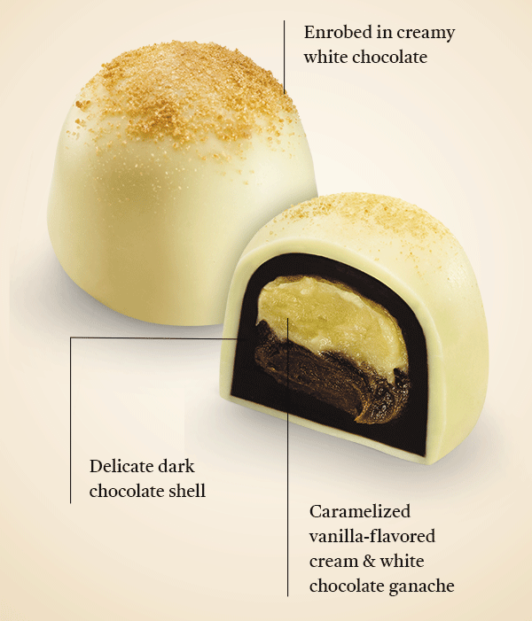TRUFFLE IMAGE