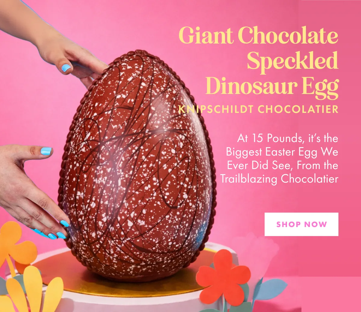 Giant Chocolate Dinosaur Egg