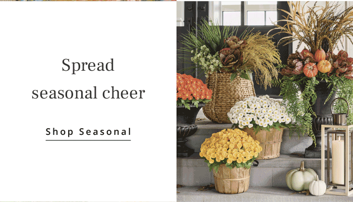 Shop Seasonal