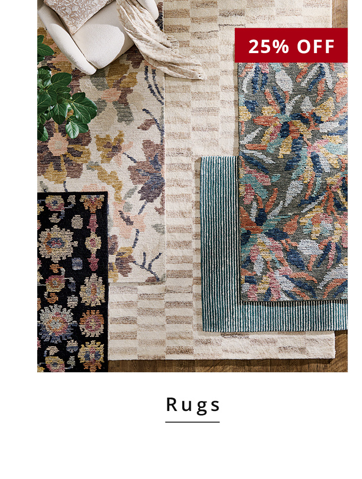 25% Off Area Rugs