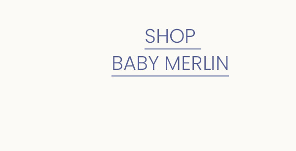 baby merlin