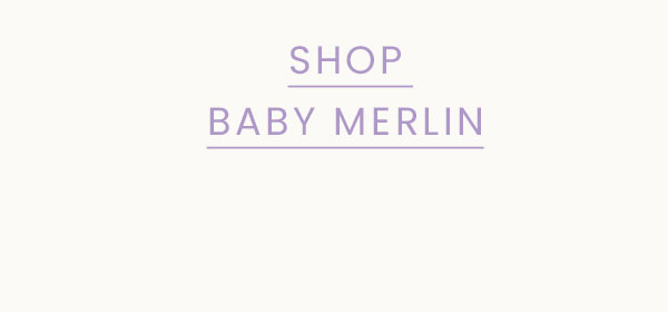 baby merlin