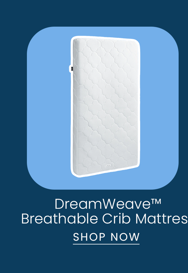 DreamWeave Crib Mattress DreamWeave Crib Mattress