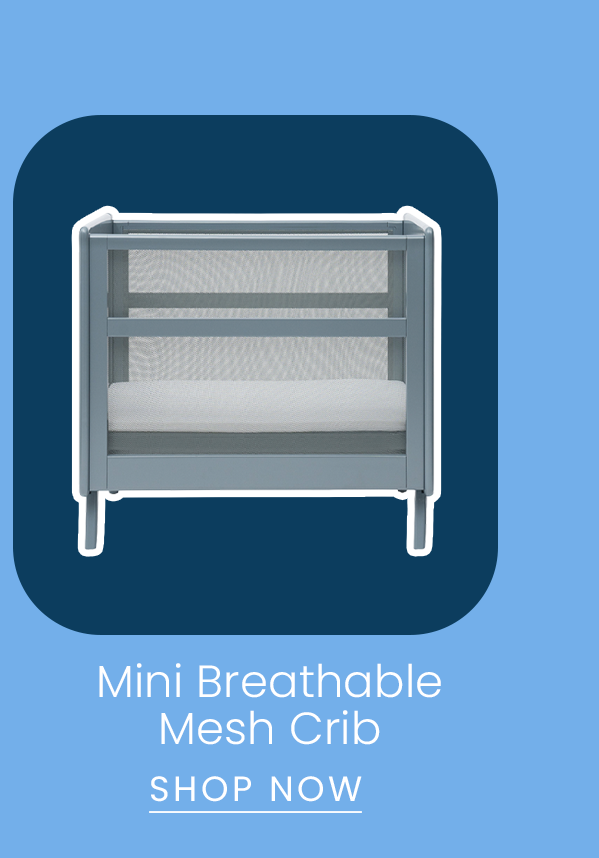 Mini Crib