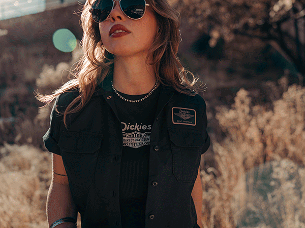 1st_Img_Dickies