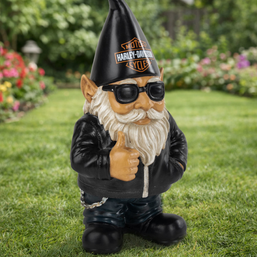 3rd_Img_lAceBikerGnome