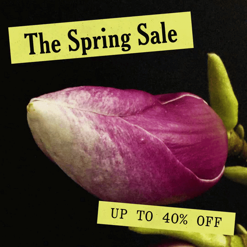 The Spring Sale Up to 40% Off