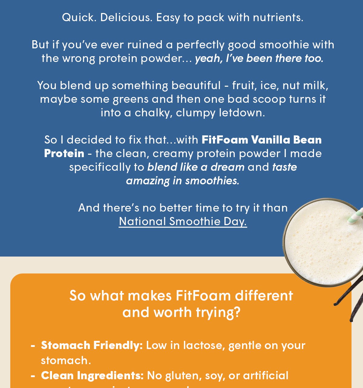 FitFoam Vanilla Bean Protein