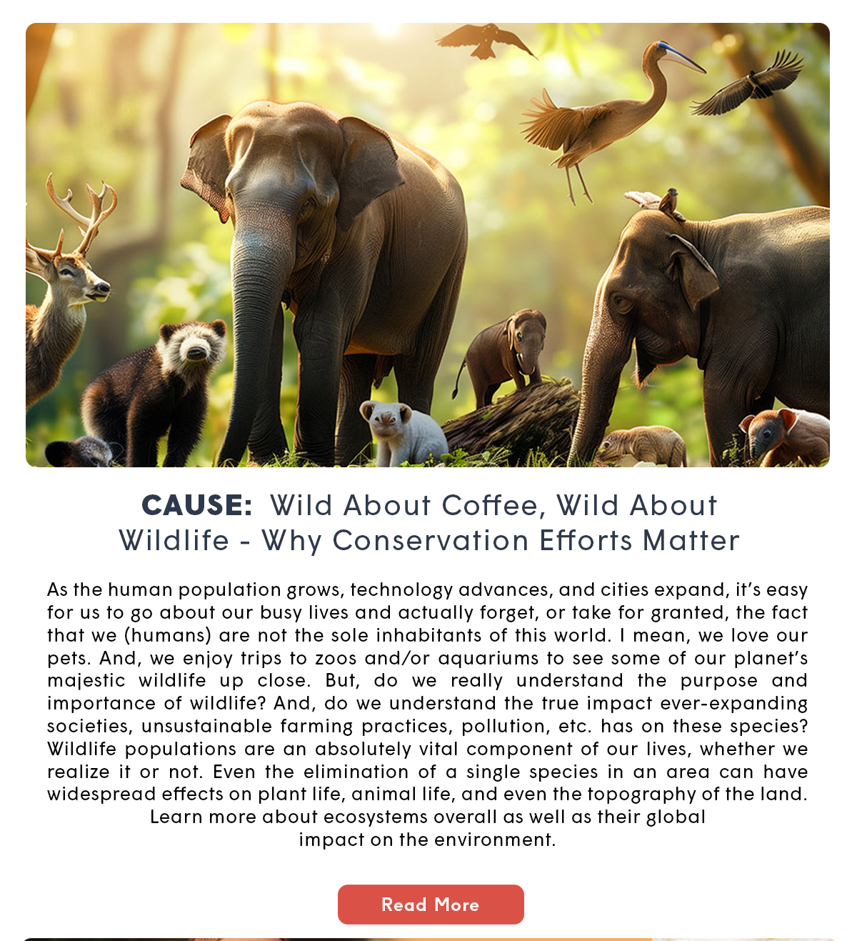 CAUSE: Wild About Coffee, Wild About Wildlife - Why Conservation Efforts Matter