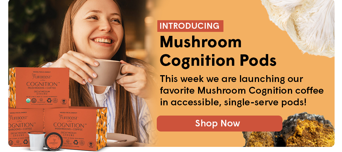  Introducing Lifeboost Coffee Mushroom