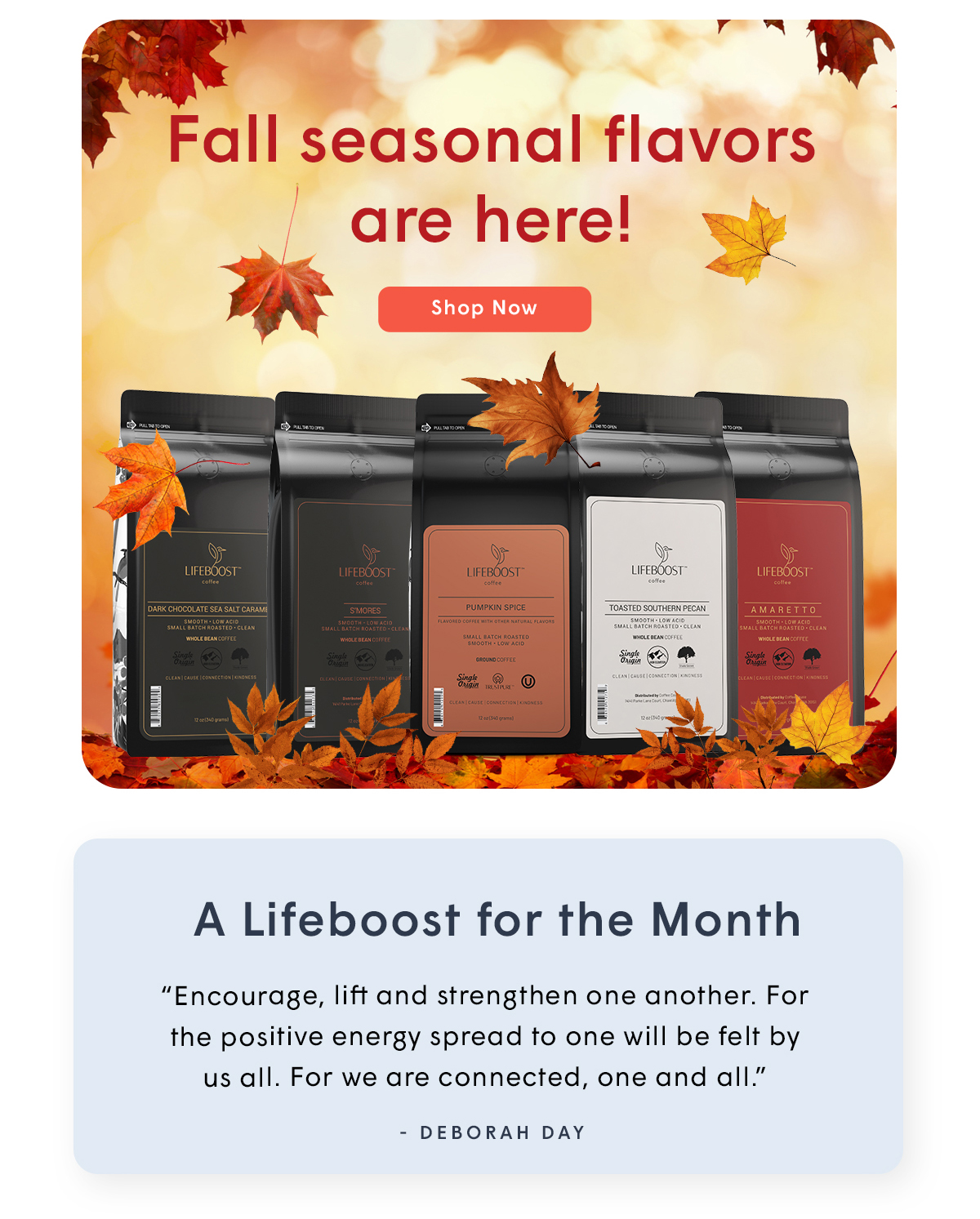 Fall Seasonal Flavors are Here! - Shop Now 