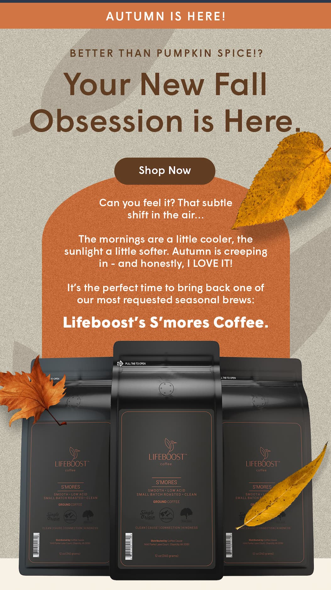 It’s the perfect time to bring back one of our most requested seasonal brews: Lifeboost’s S’mores Coffee.