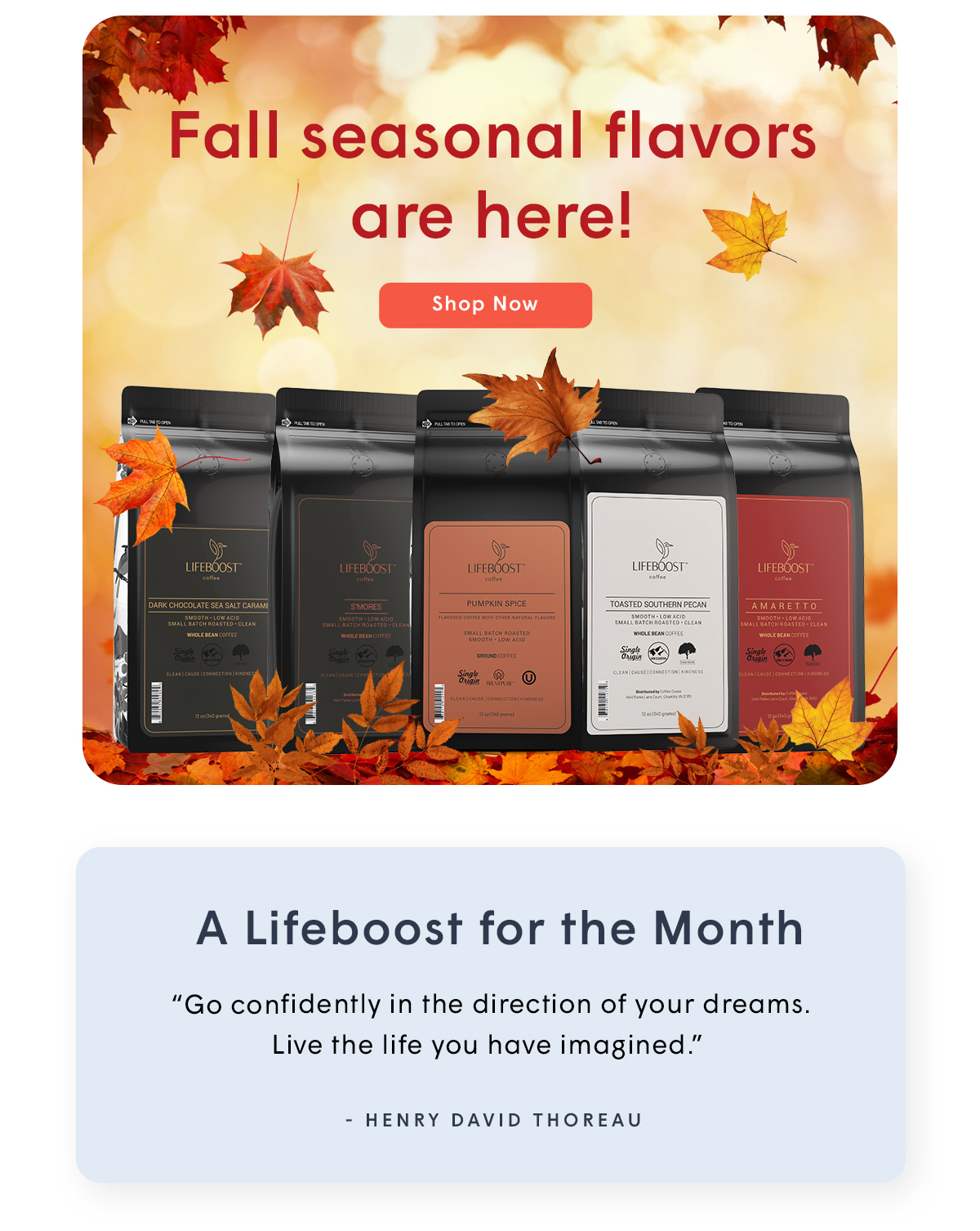 Fall Seasonal Flavors are Here! - Shop Now 