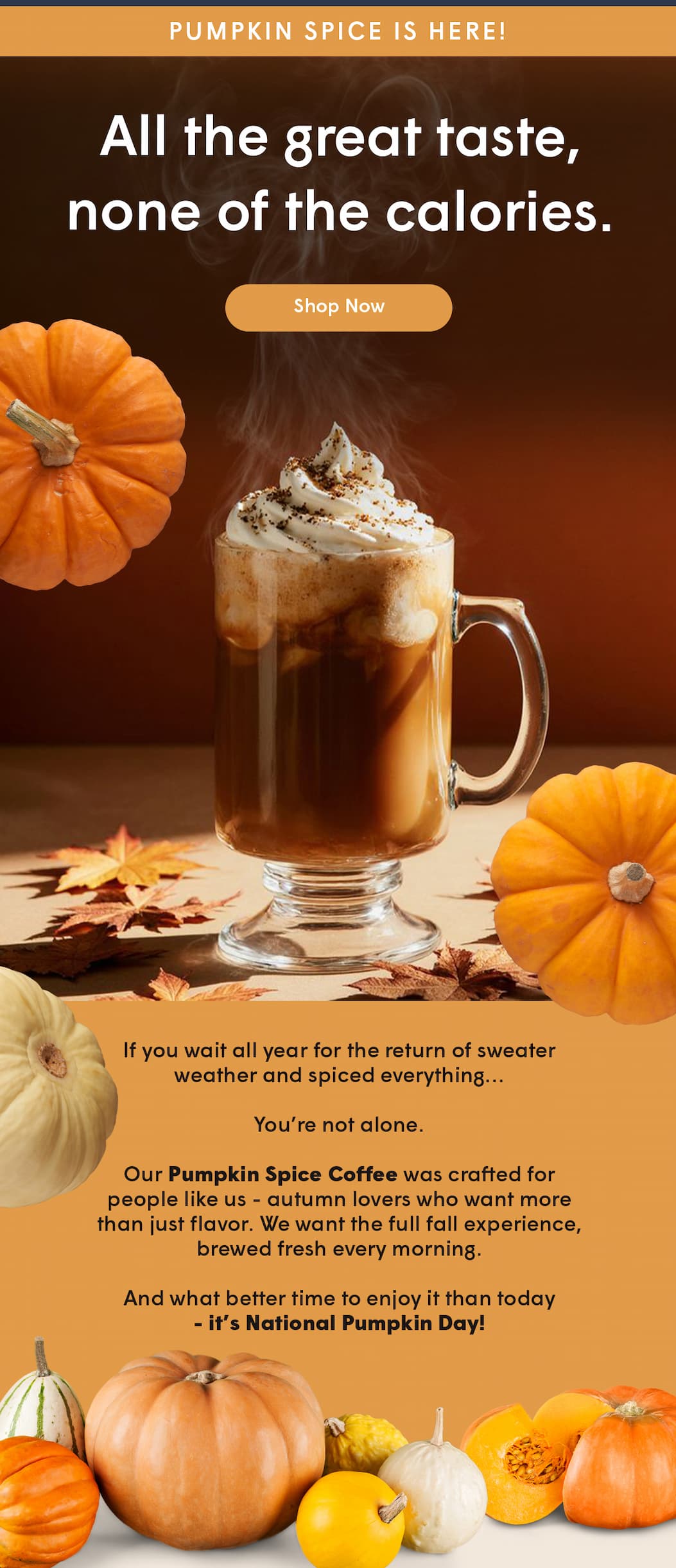 Our Pumpkin Spice Coffee was crafted for people like us - autumn lovers who want more than just flavor. We want the full fall experience, brewed fresh every morning.